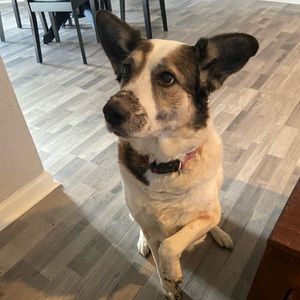 Meet your Posher, Chloe